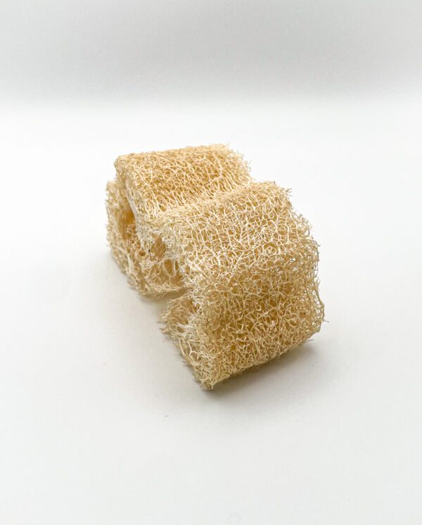 loofah