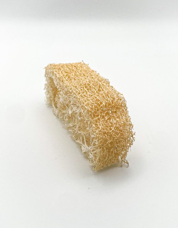 small natural loofah